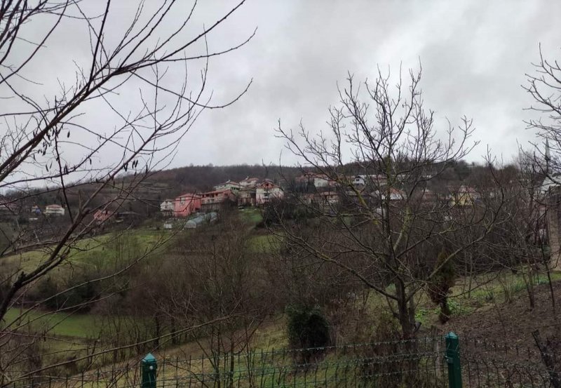 TRAKTÖR DEVRİLDİ; SÜRÜCÜNÜN EŞİ HAYATINI KAYBETTİ - 1