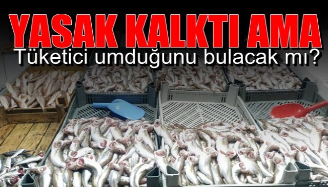 YASAK KALKTI AMA… Tüketici umduğunu bulabilecek mi?