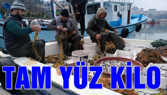 ZONGULDAK’TA MEZGİT BEREKETİ
