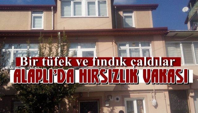 Alaplı´da evden tüfek ve fındık çaldılar