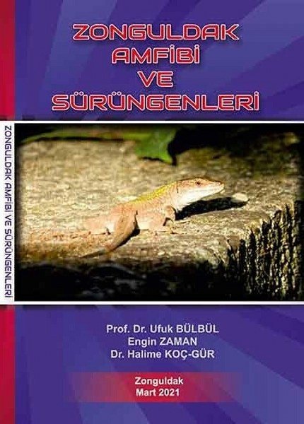 AMFİBİ VE SÜRÜNGENLERİ SERGİSİ AÇILACAK - 3