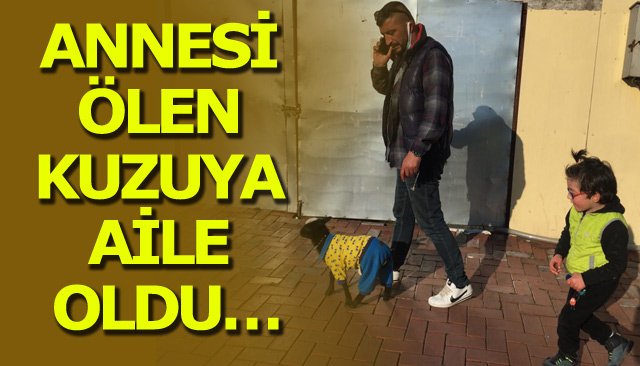 ANNESİ ÖLEN KUZUYA AİLE OLDU…