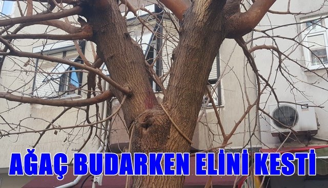 Bir anda kanlar içinde kaldı