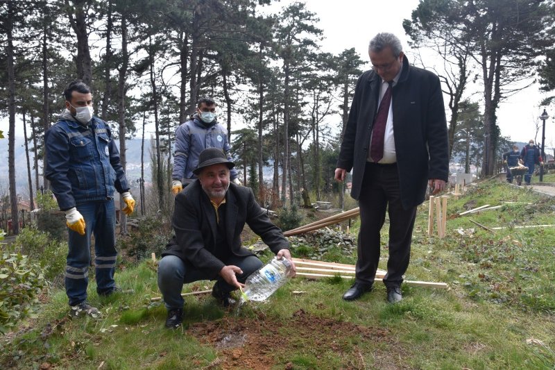 Hastalığa dayanıklı kestane dikimi yapıldı - 5