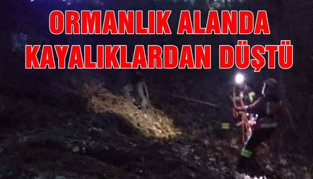 Kayalıklardan düşen vatandaşı itfaiye ekipleri kurtardı