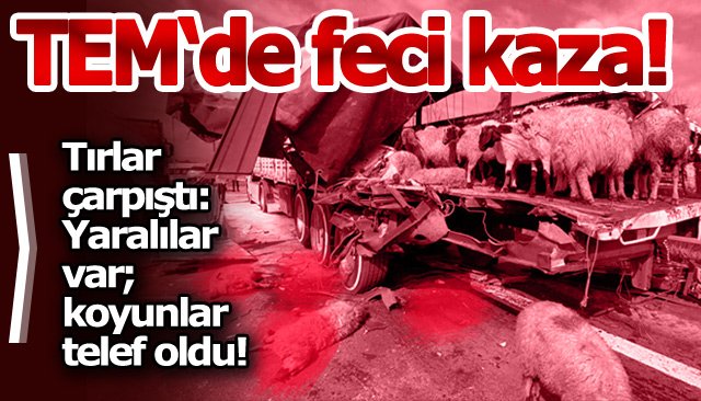 KİLOMETRELERCE ARAÇ KUYRUĞU OLUŞTU!