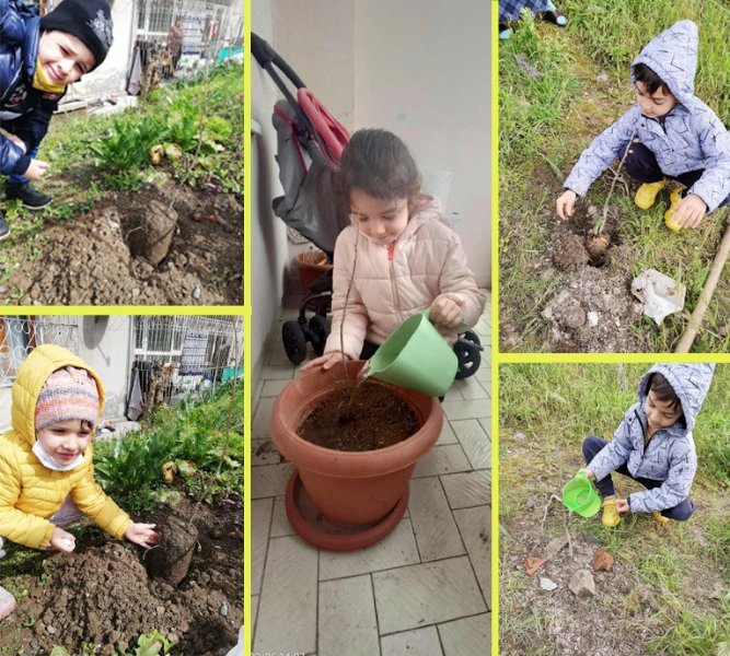 MİNİKLERDEN FİDAN DİKİMİ - 2