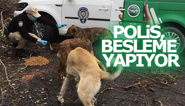 POLİS, BESLEME YAPIYOR