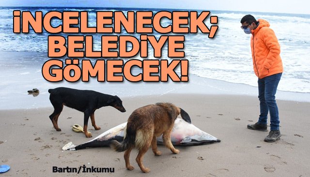 YUNUSUN ÜZERİNDE KESİKLER VARDI! 