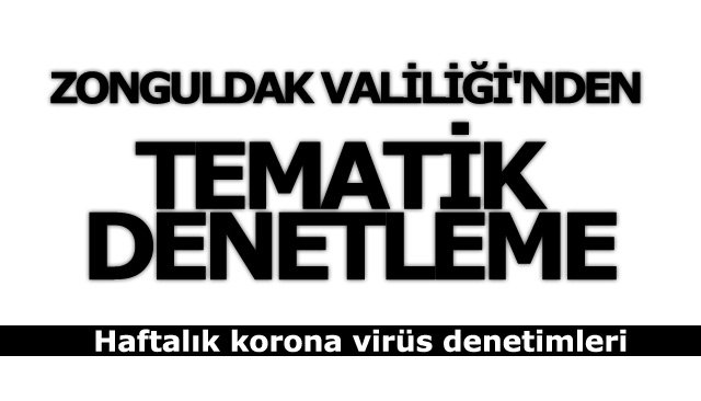 ZONGULDAK VALİLİĞİ´NDEN TEMATİK DENETLEME 