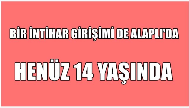 BİR İNTİHAR GİRİŞİMİ DE ALAPLI´DA