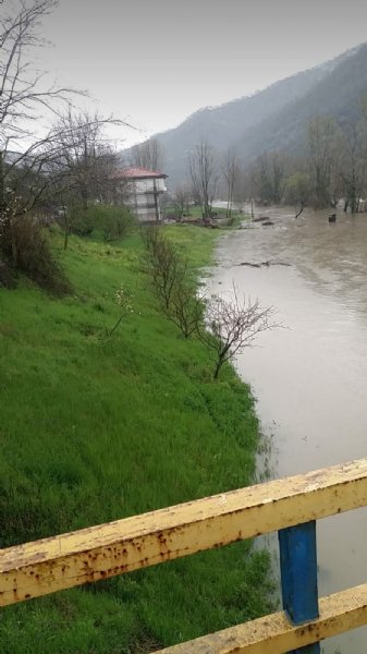 GÜLÜÇ IRMAĞINDA SU SEVİYESİ ENDİŞE YARATIYOR - 1