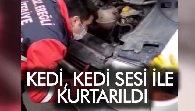 KEDİ, KEDİ SESİ İLE KURTARILDI