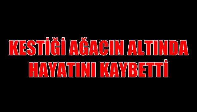 KESTİĞİ AĞACIN ALTINDA HAYATINI KAYBETTİ