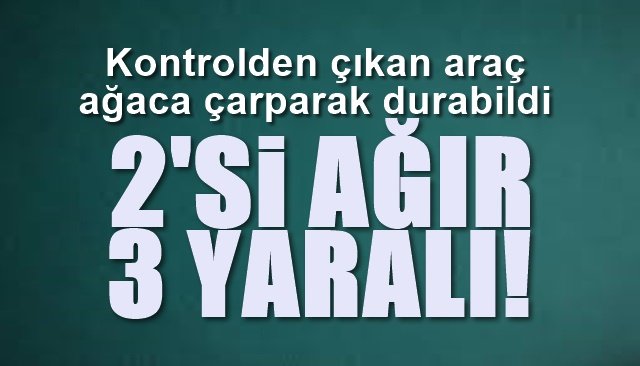 Kontrolden çıkan araç ağaca çarptı: 2´si ağır 3 yaralı