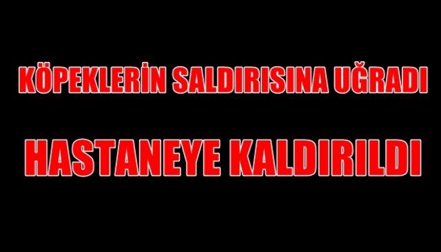 KÖPEKLERİN SALDIRISINA UĞRADI