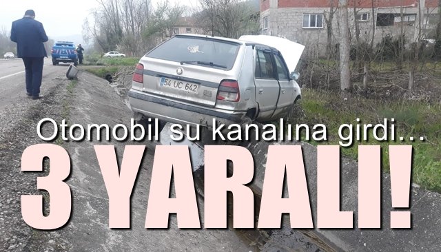 Otomobil su kanalına girdi…  3 YARALI 