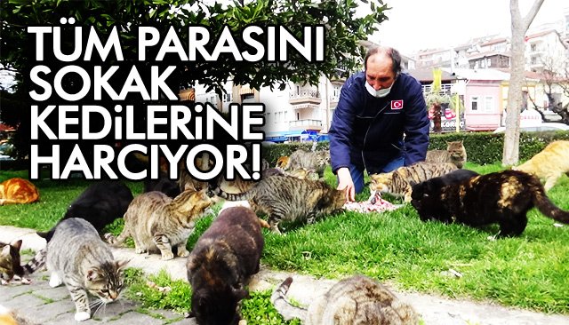 TÜM PARASINI SOKAK KEDİLERE HARCIYOR!