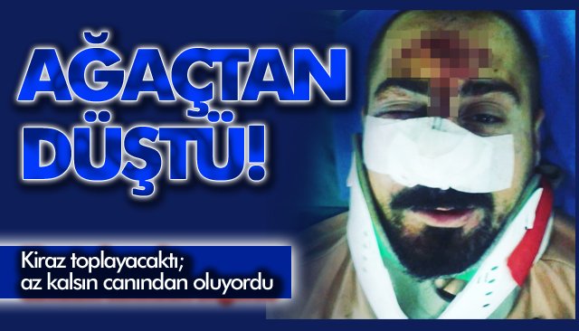 AĞAÇTAN DÜŞTÜ 