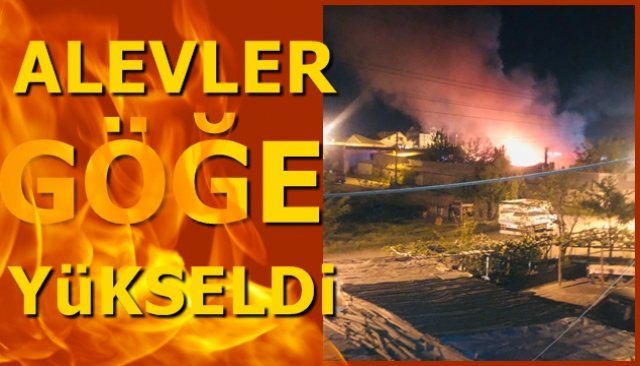 ALEVLER GÖĞE YÜKSELDİ!