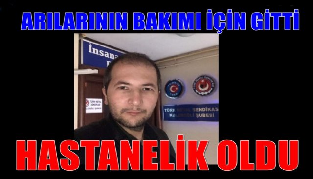 ARILAR HASTANELİK ETTİ...