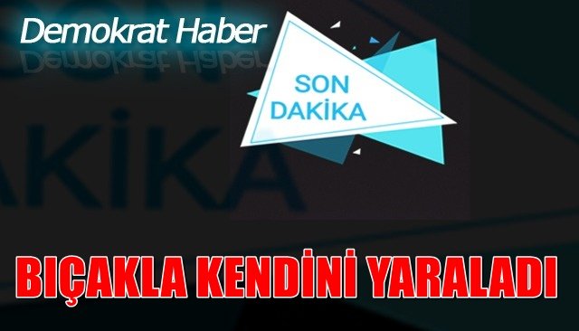 BIÇAKLA KENDİNİ YARALADI