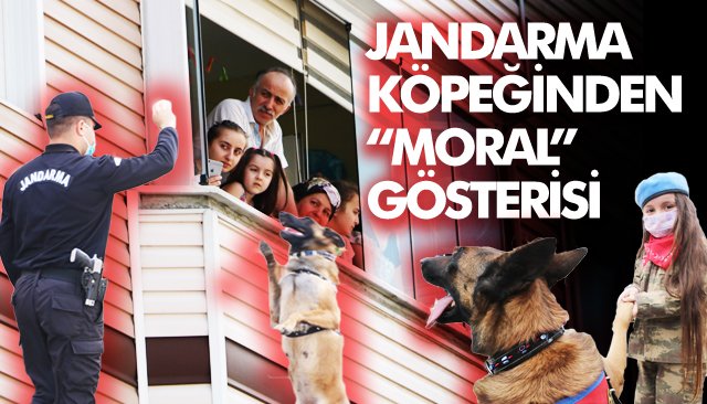 Bomba arama köpeği Şila, evde kalan vatandaşları gösterileriyle etkiledi