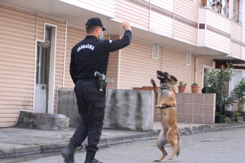 Bomba arama köpeği Şila, evde kalan vatandaşları gösterileriyle etkiledi - 3