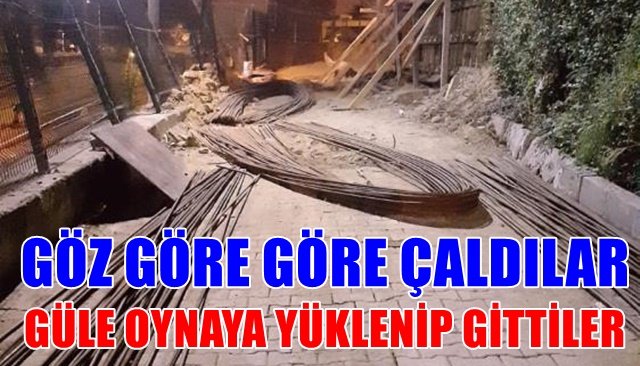 GÖZ GÖRE GÖRE YÜKLENİP GİTTİLER