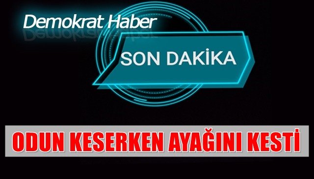 ODUN KESERKEN AYAĞINI KESTİ