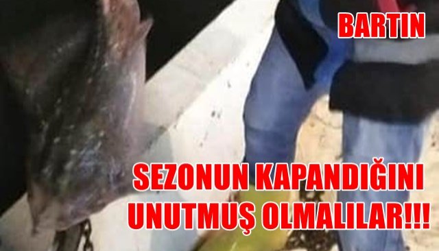 SEZONUN KAPANDIĞINI UNUTMUŞ OLACAKLAR!!!