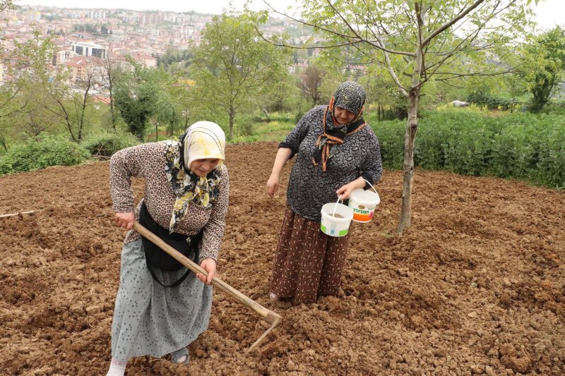 TAM KAPANMADA YÜZÜNÜ TOPRAĞA DÖNEN VATANDAŞ, FİDE DİKTİ - 1