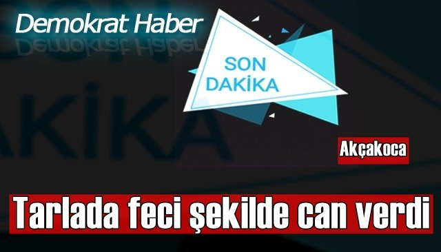  Tarlada feci şekilde can verdi