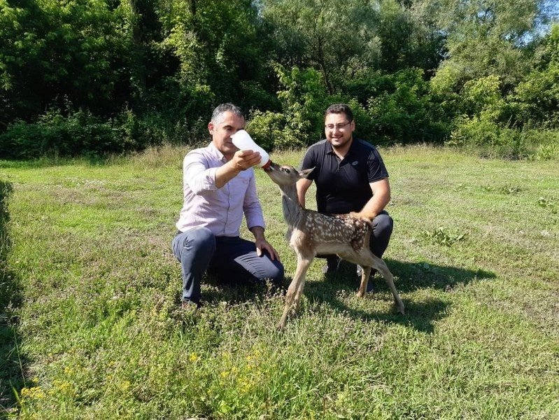 TÜRKİYE’NİN İLK YABAN HAYATI UZMANI DÜZCE’DE - 5