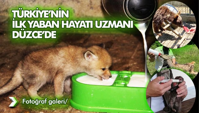 TÜRKİYE’NİN İLK YABAN HAYATI UZMANI DÜZCE’DE