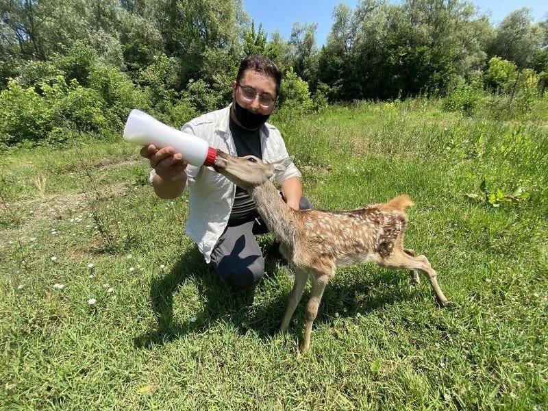 TÜRKİYE’NİN İLK YABAN HAYATI UZMANI DÜZCE’DE - 6