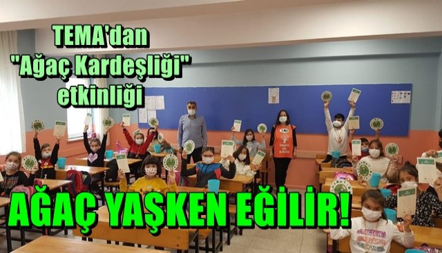  AĞAÇ YAŞKEN EĞİLİR…