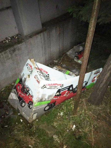 “ANNE KEDİ VE YAVRULARI ÖLÜME TERKEDİLDİ” İDDİASI! - 7