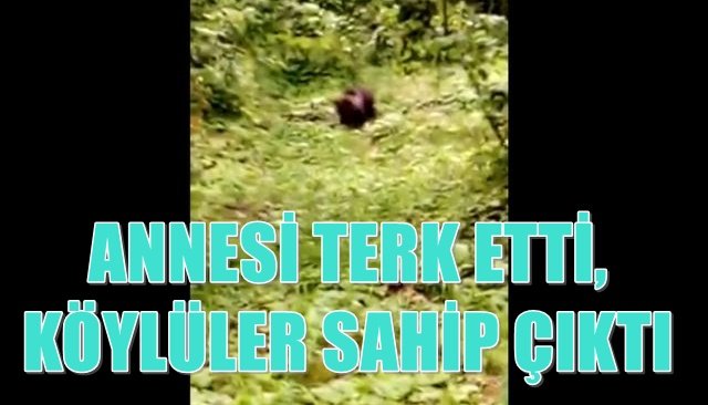 ANNESİNİN TERK ETTİĞİ 3 AYLIK YAVRUYA KÖYLÜLER SAHİP ÇIKTI