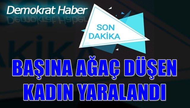 BAŞINA DÜŞEN AĞAÇ PARÇASIYLA YARALANDI