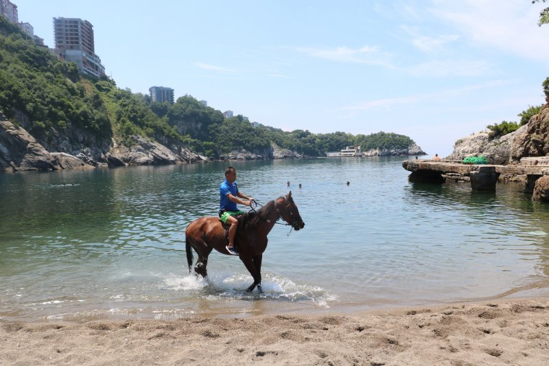 DENİZE YARIŞ ATIYLA GİRDİ - 1