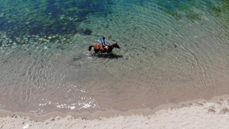 DENİZE YARIŞ ATIYLA GİRDİ - 2