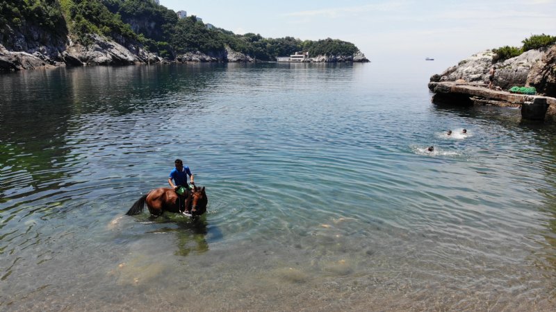 DENİZE YARIŞ ATIYLA GİRDİ - 3