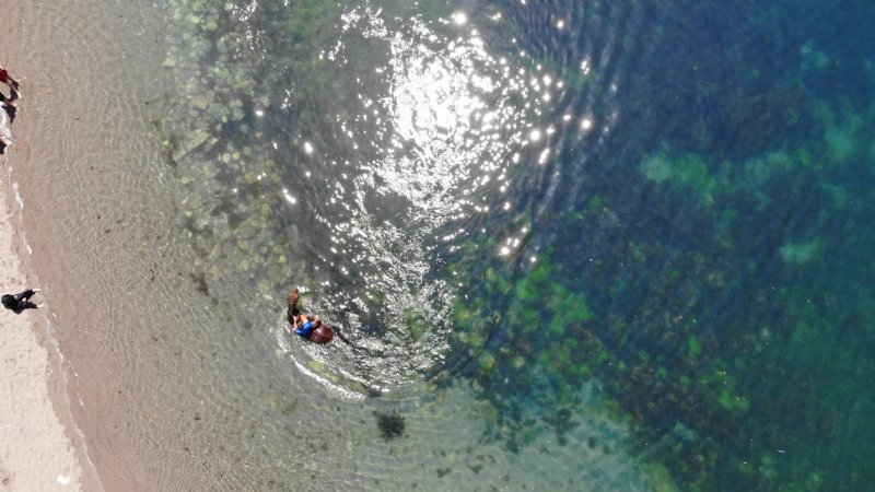 DENİZE YARIŞ ATIYLA GİRDİ - 5