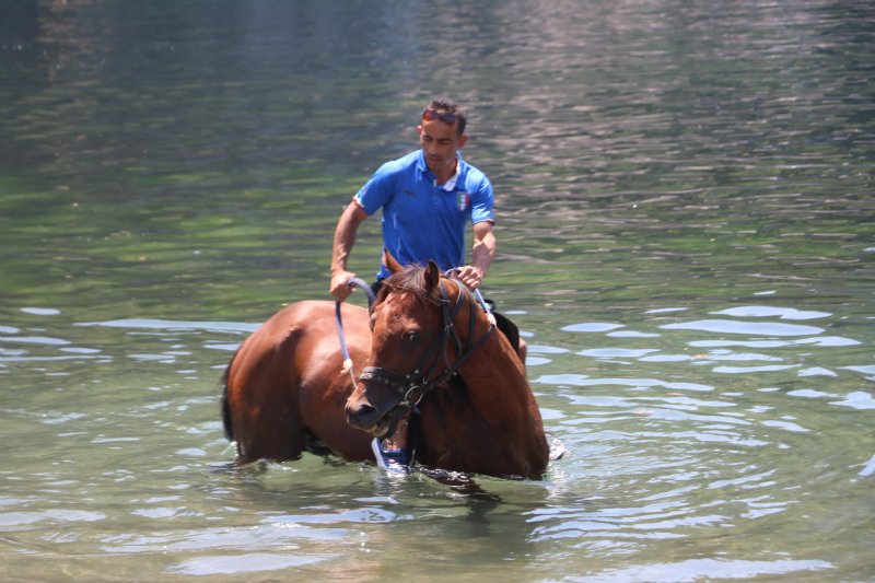 DENİZE YARIŞ ATIYLA GİRDİ - 6