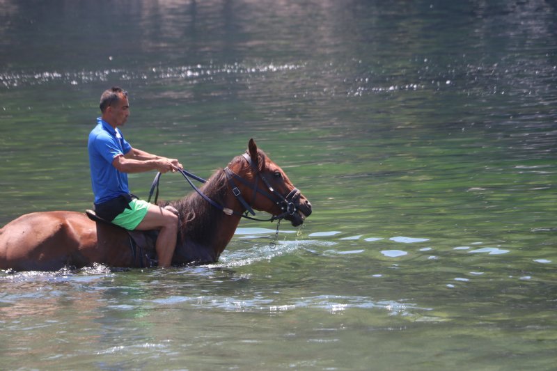 DENİZE YARIŞ ATIYLA GİRDİ - 7