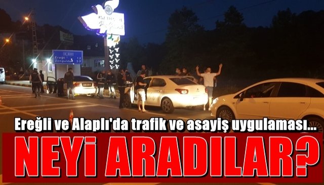 DİDİK DİDİK ARADILAR!