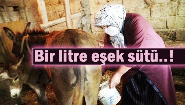 EŞEK SÜTÜ, ALTINLA YARIŞIYOR!