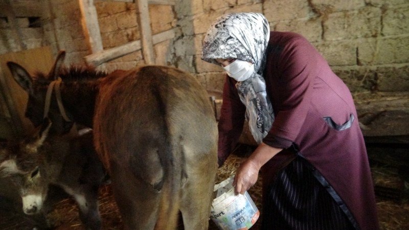 EŞEK SÜTÜ, ALTINLA YARIŞIYOR! - 3