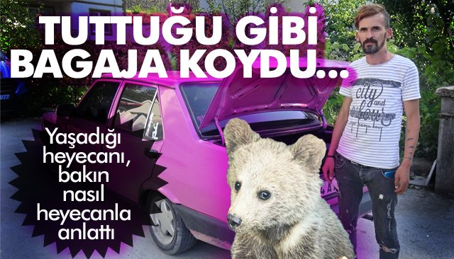 KÖPEKLERİN SALDIRDIĞI AYIYI KURTARDI!
